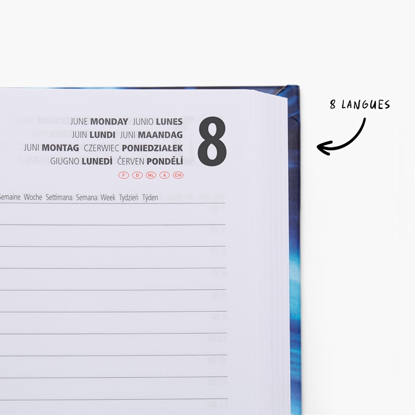 Exemple 5 de produit sélectionné