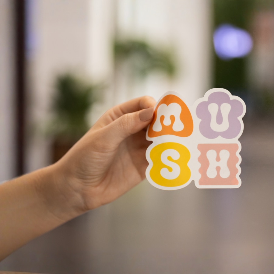 Exemple 3 de produit sélectionné