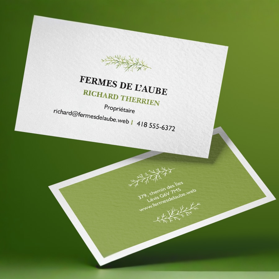 Exemple 1 de produit sélectionné