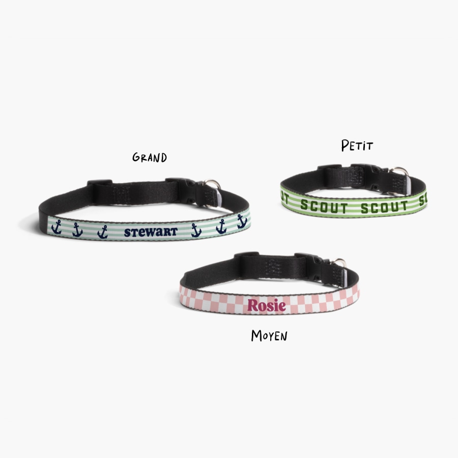 Trois colliers pour chiens personnalisés, imprimés avec des noms différents : Stewart, Scout et Rosie, avec une note indiquant leurs tailles respectives : grand, moyen et petit. 