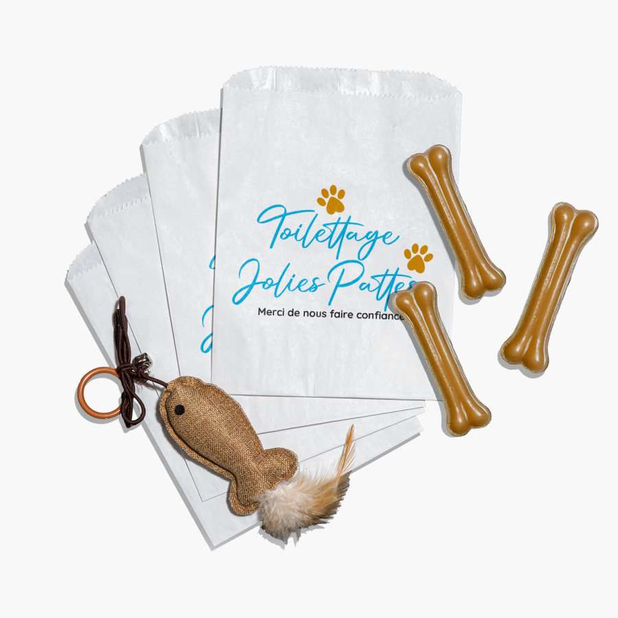 Un mini sac cadeau personnalisé pour une entreprise de toilettage pour chiens. 