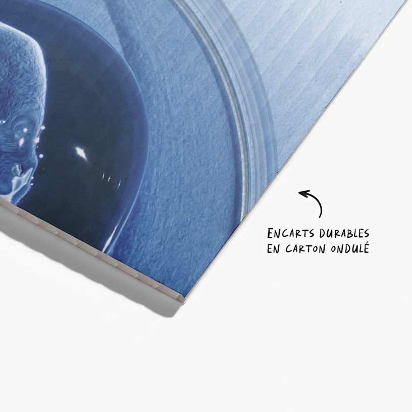 Exemple 2 de produit sélectionné