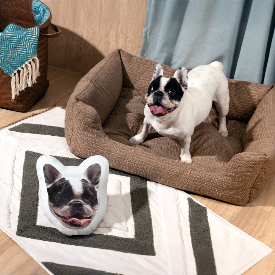 Un bouledogue français assis à côté d’un coussin en forme de tête de chien à son effigie.