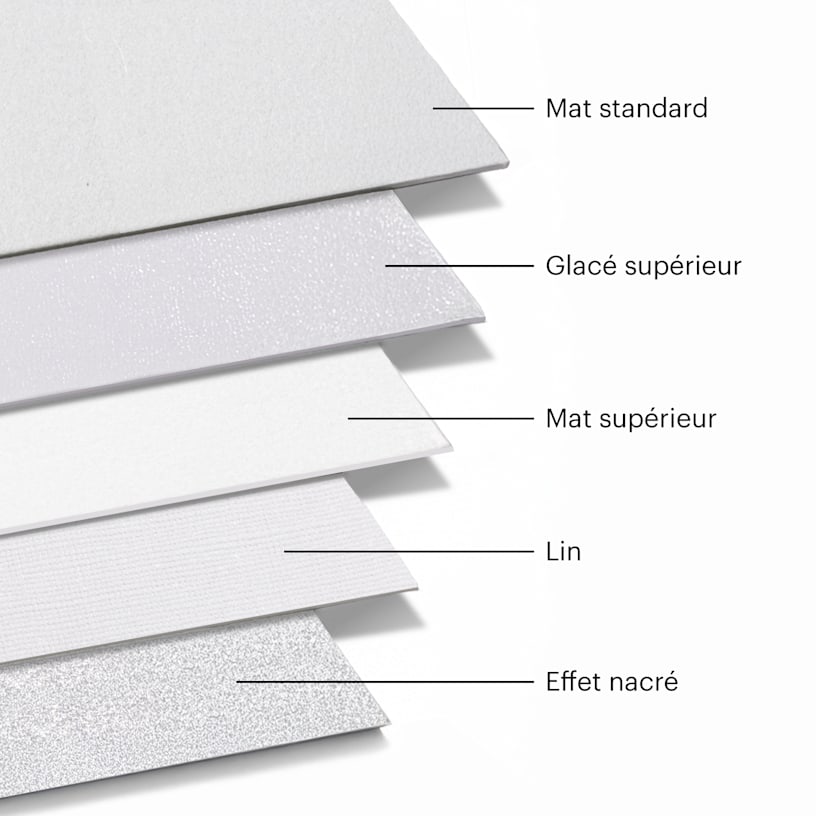 Une sélection de types de papier étiquetés avec leurs matériaux : mat standard, glacé supérieur, mat supérieur, lin et nacré. 