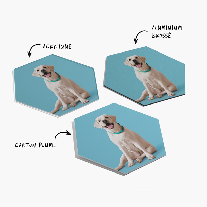 3 plaques photo représentant un chien. Une note indique que les plaques sont disponibles en acrylique, en aluminium brossé ou en carton plume. 