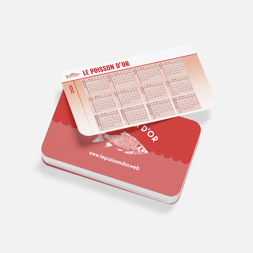 Exemple 1 de produit sélectionné