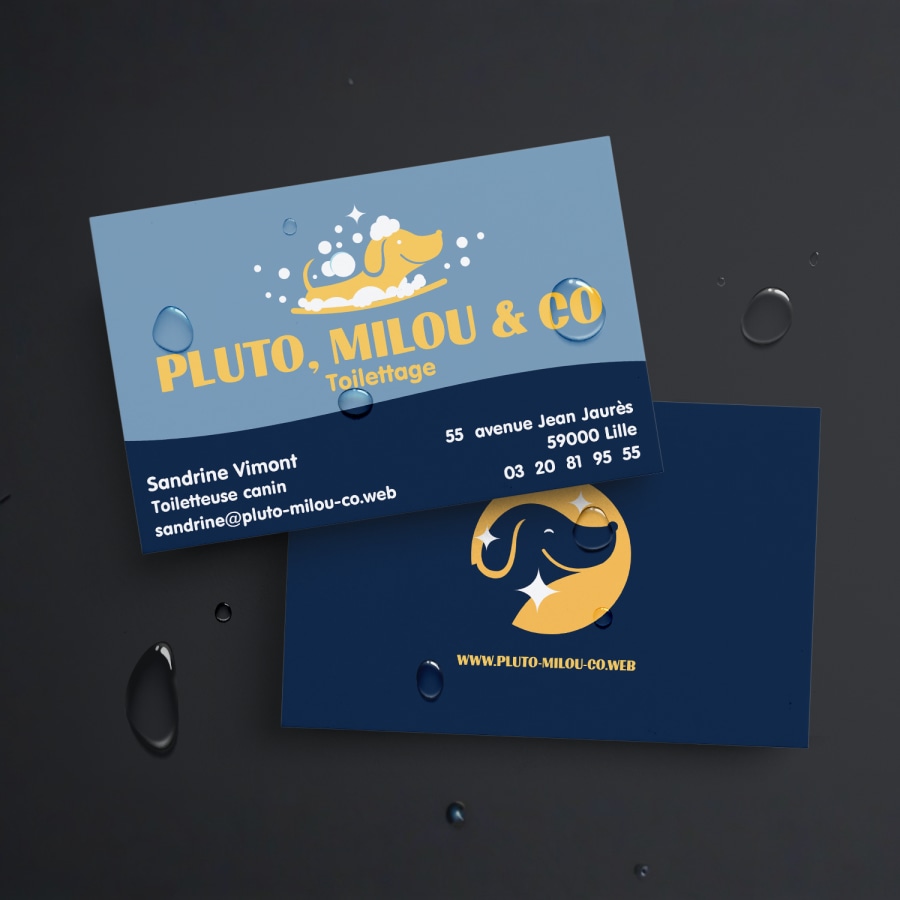 Exemple 1 de produit sélectionné