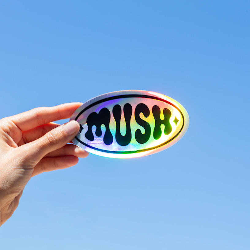 Exemple 1 de produit sélectionné