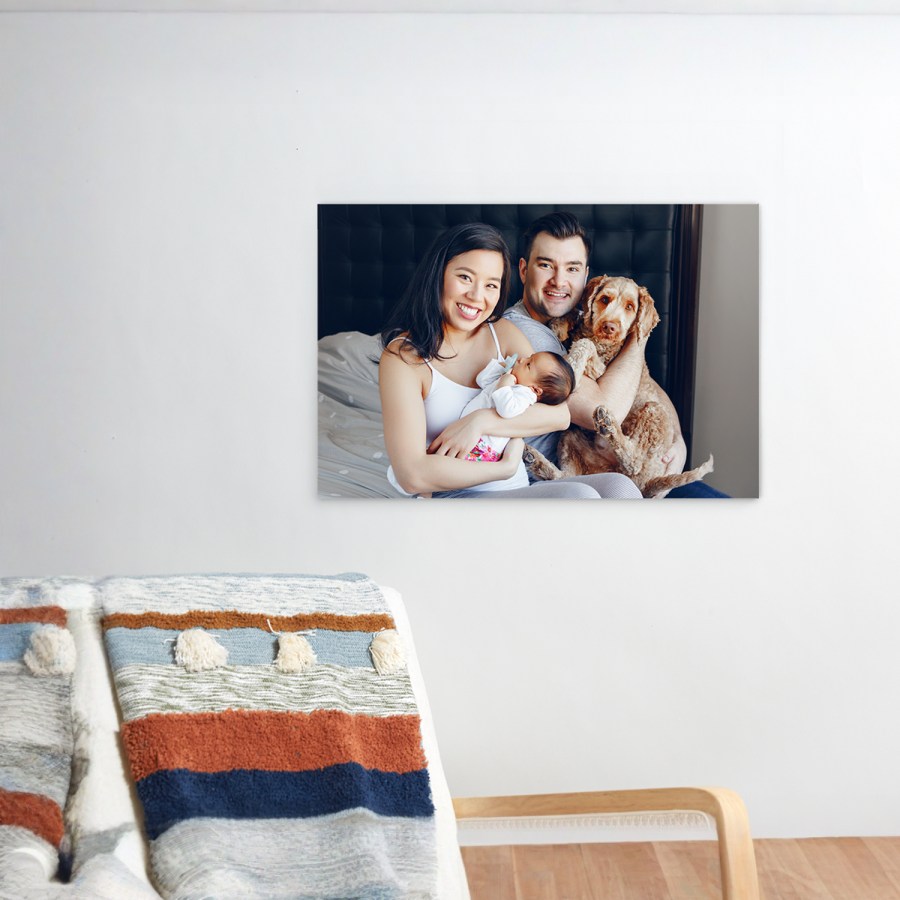 Una stampa su plexiglass raffigurante un ritratto di famiglia con due genitori, un bebè e un cane. 