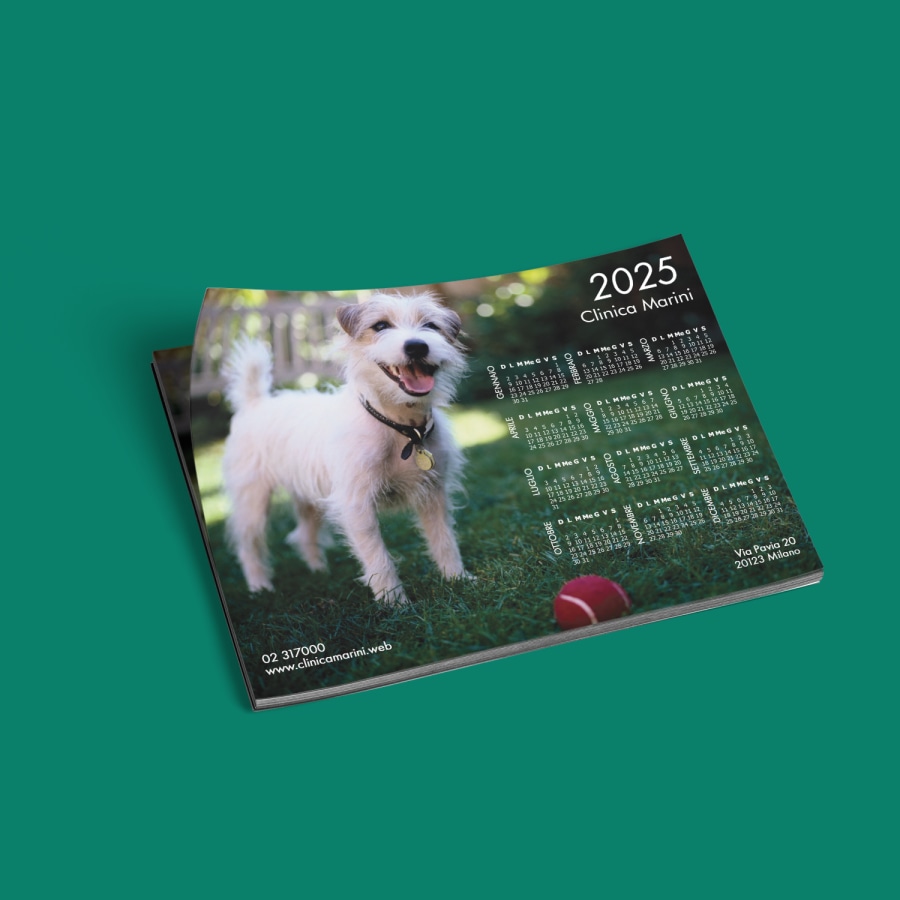 Esempio 1 del prodotto selezionato