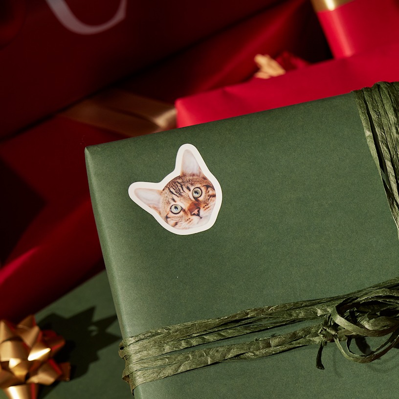 Esempio 6 del prodotto selezionato