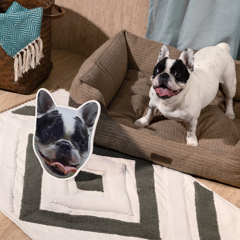 Esempio 3 del prodotto selezionato