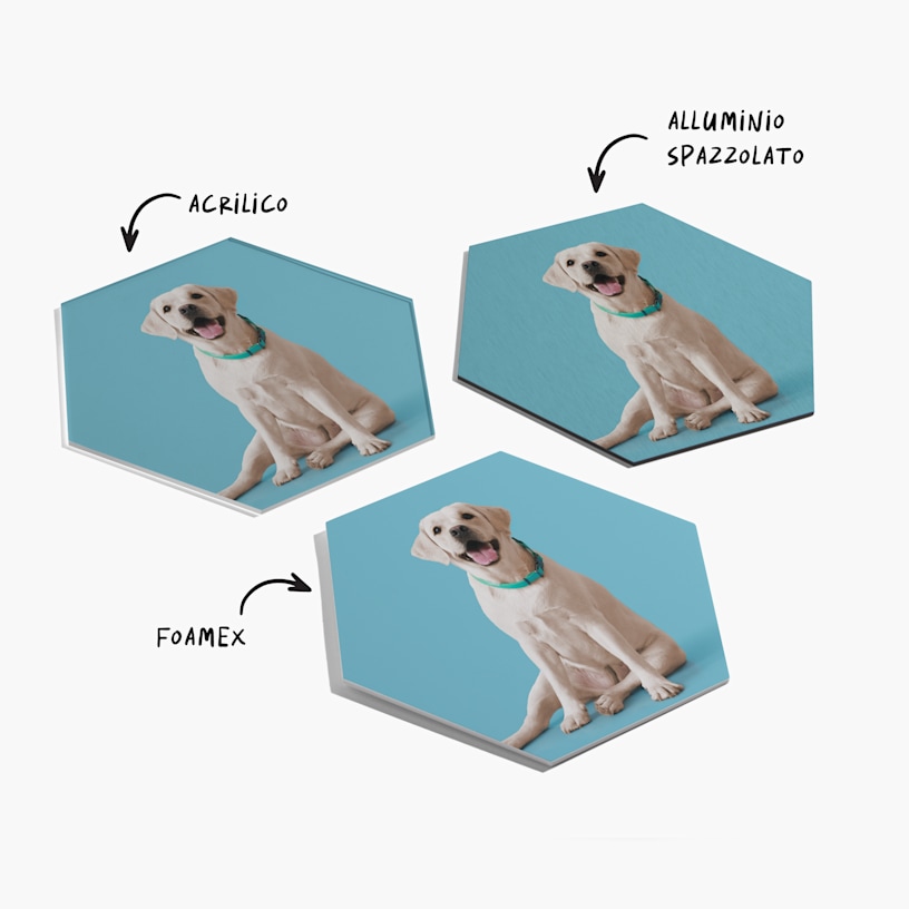 3 foto su pannelli con l’immagine di un cane, accompagnate da un testo che informa della disponibilità di questo prodotto in acrilico, alluminio spazzolato o Foamex. 