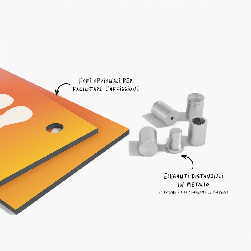 Esempio 8 del prodotto selezionato