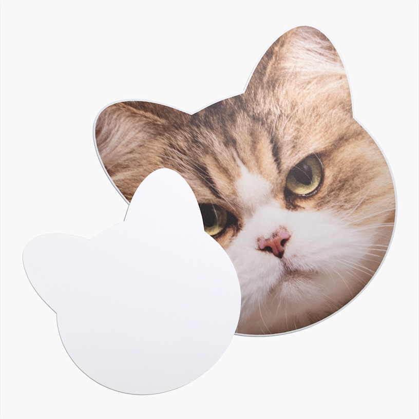 Esempio 6 del prodotto selezionato