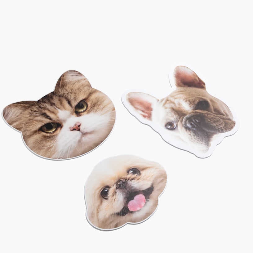 Esempio 4 del prodotto selezionato