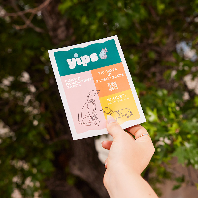 Esempio 4 del prodotto selezionato