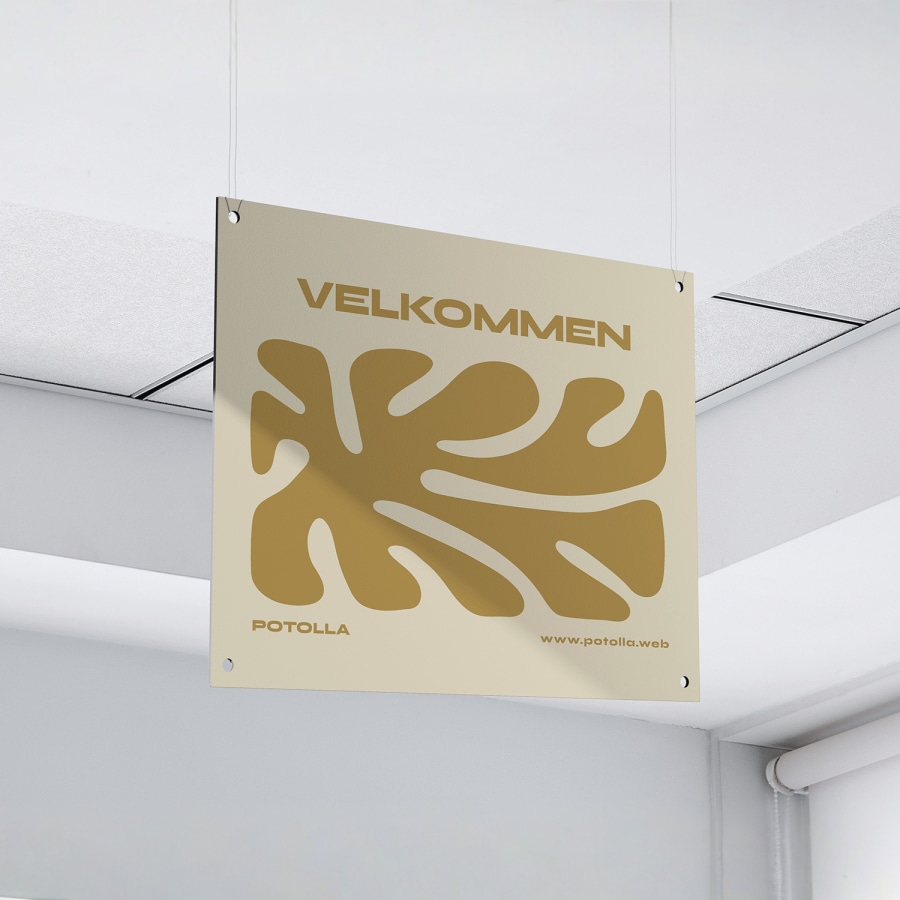 Eksempel 2 for valgte produkt