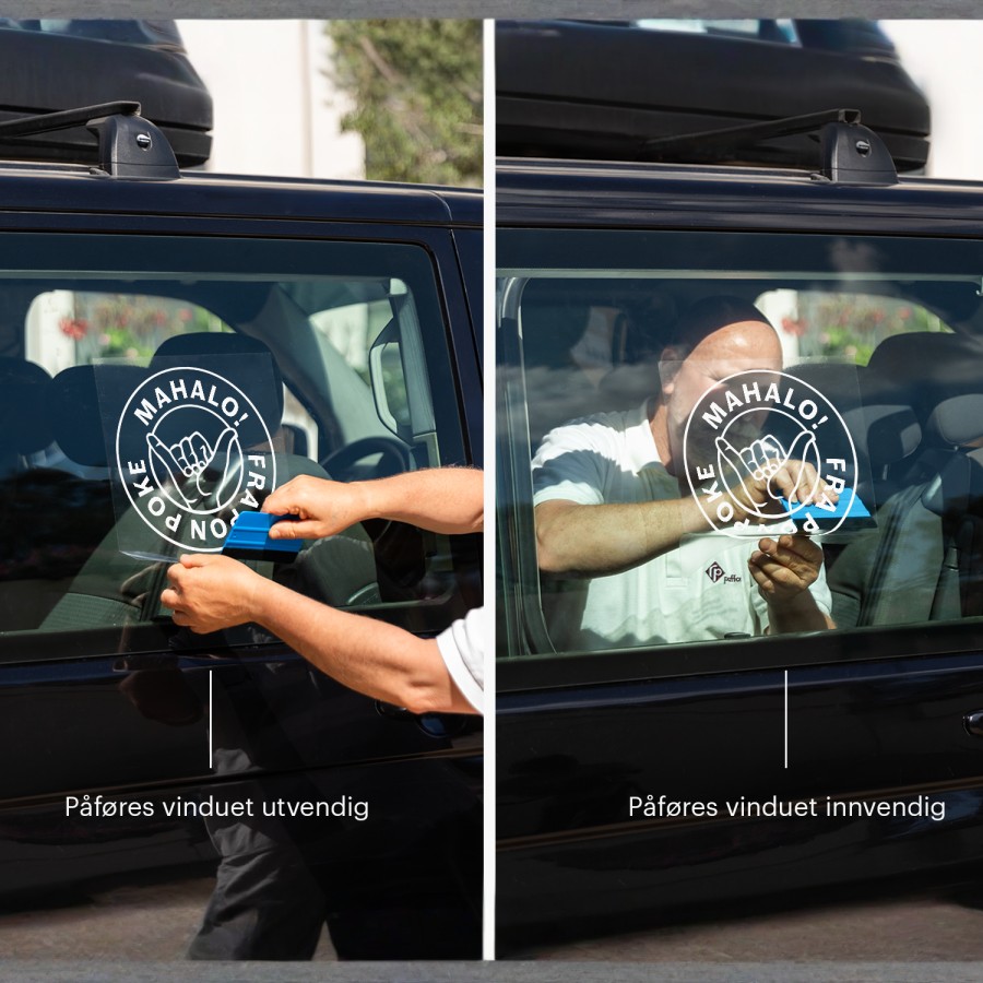 Eksempel 6 for valgte produkt