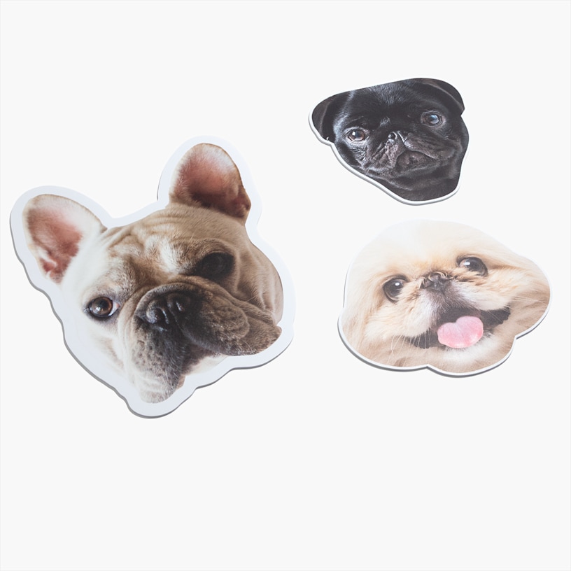 Eksempel 8 for valgte produkt