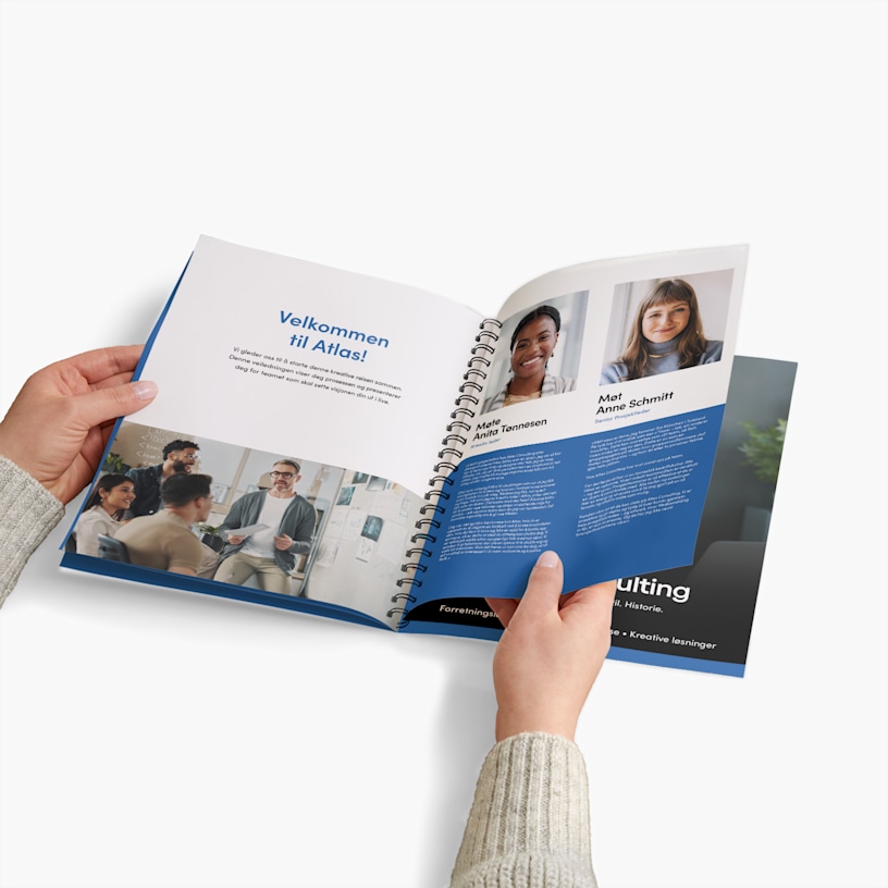 Eksempel 1 for valgte produkt