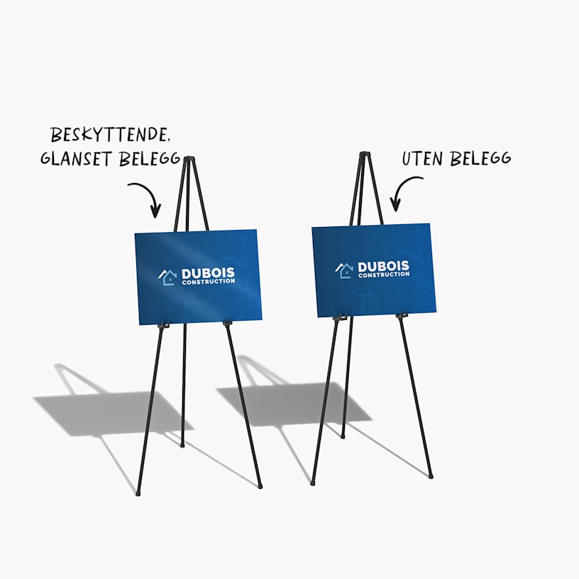 Eksempel 9 for valgte produkt