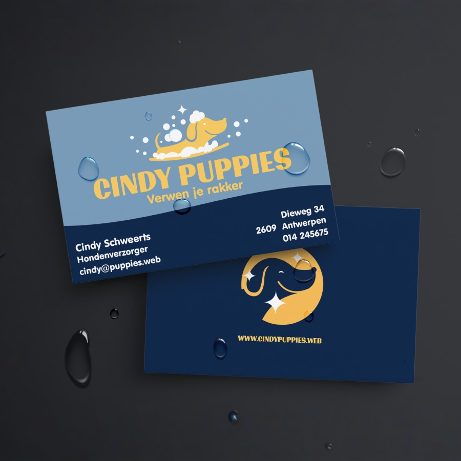 Voorbeeld 1 van geselecteerd product