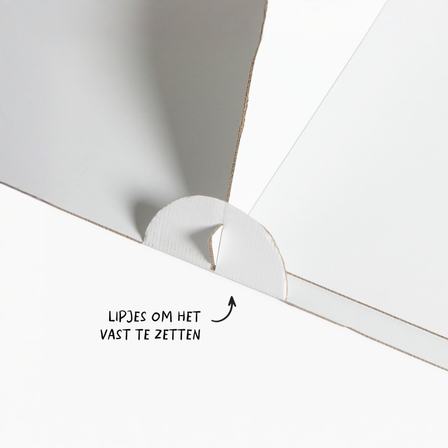 Voorbeeld 5 van geselecteerd product