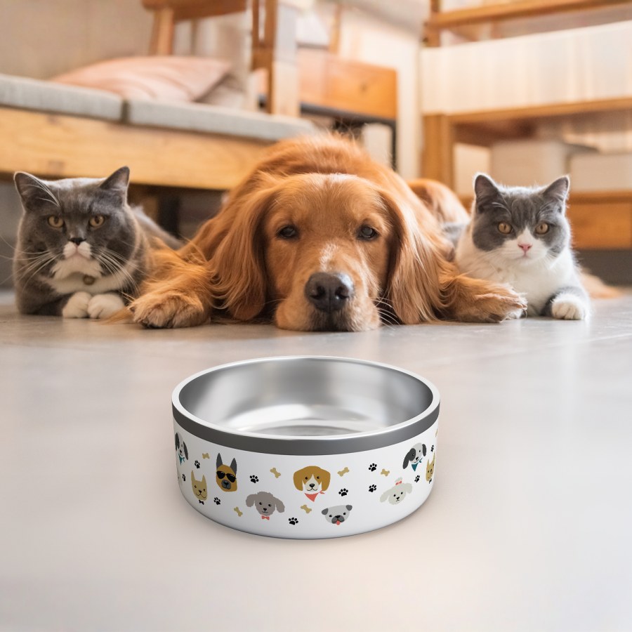 Een witte bedrukte hondenvoerbak bedrukt met verschillende hondenontwerpen en hondenbotten en pootafdrukken. Twee katten en een hond kijken van achteren naar de bak. 