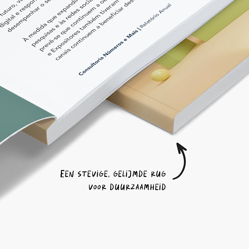 Voorbeeld 3 van geselecteerd product