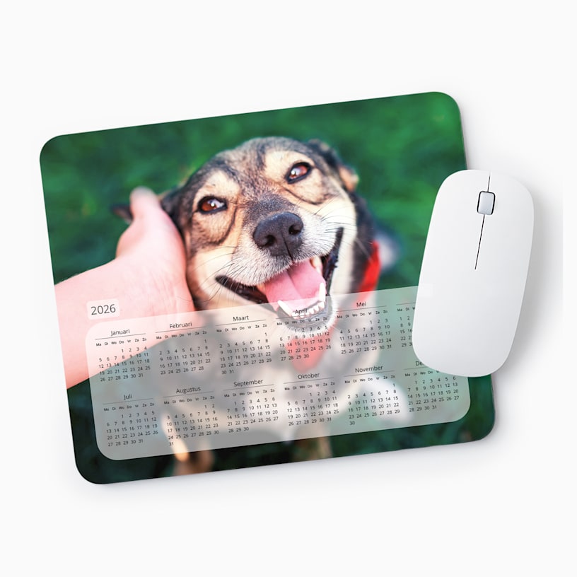 Voorbeeld 4 van geselecteerd product