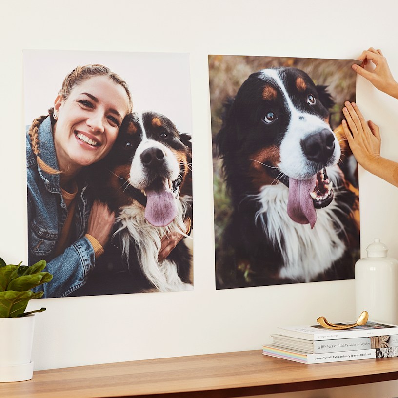 Voorbeeld 1 van geselecteerd product