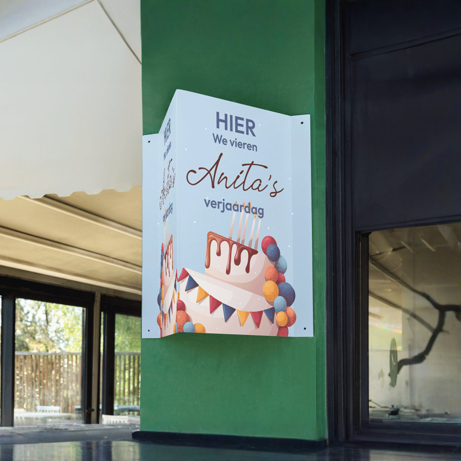 Voorbeeld 3 van geselecteerd product