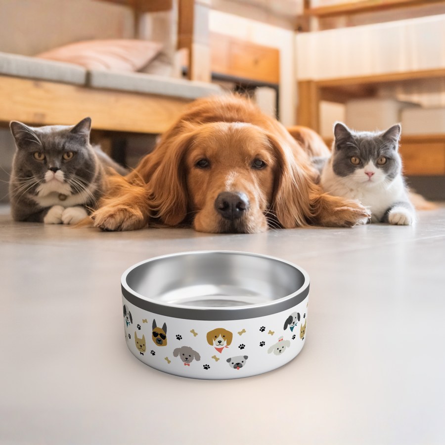 Een witte bedrukte hondenvoerbak bedrukt met verschillende hondenontwerpen en hondenbotten en pootafdrukken. Twee katten en een hond kijken van achteren naar de bak. 