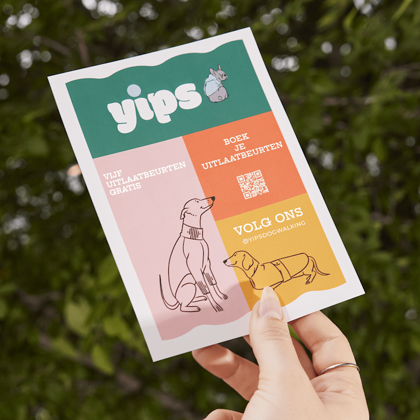 Voorbeeld 4 van geselecteerd product