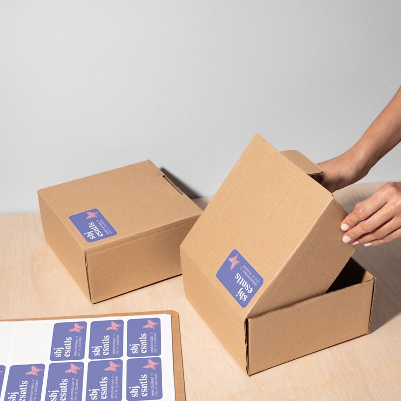 Voorbeeld 3 van geselecteerd product