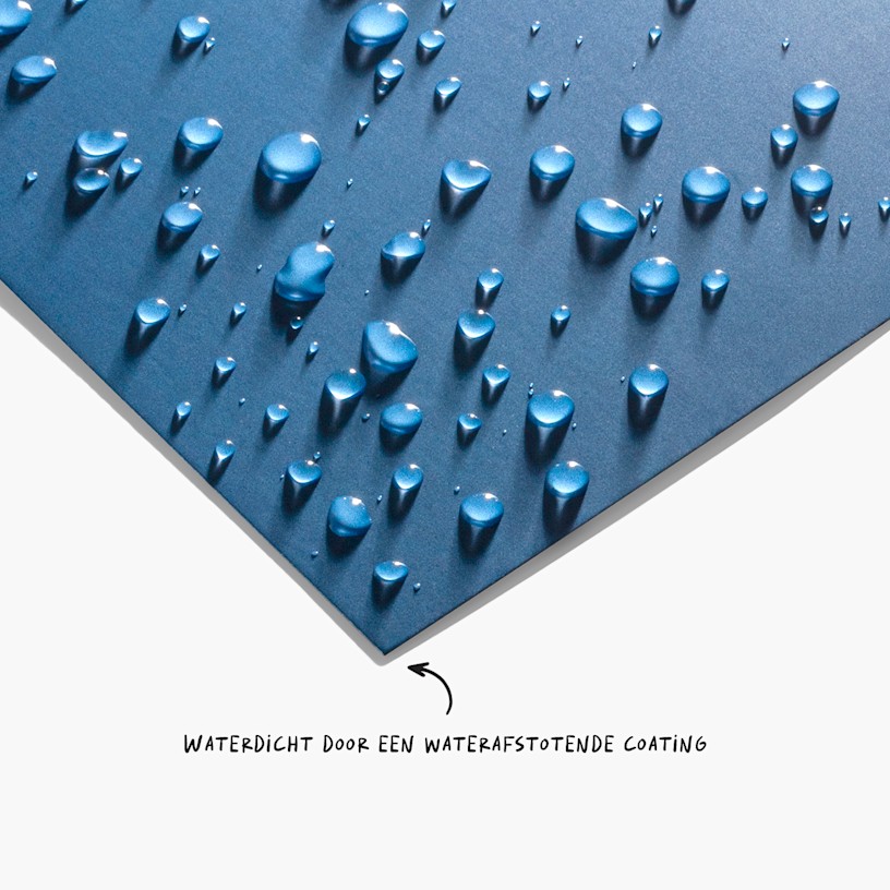 Voorbeeld 8 van geselecteerd product