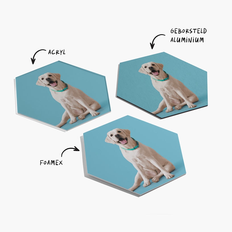 3 fototegels met een portret van een hond en een notitie dat tegels verkrijgbaar zijn in acryl, geborsteld aluminium en foamex. 