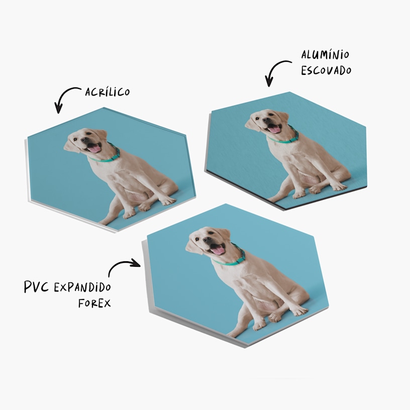 Três telas personalizadas com o retrato de um cão e uma nota a indicar que estão disponíveis em acrílico, alumínio escovado ou PVC expandido Forex. 