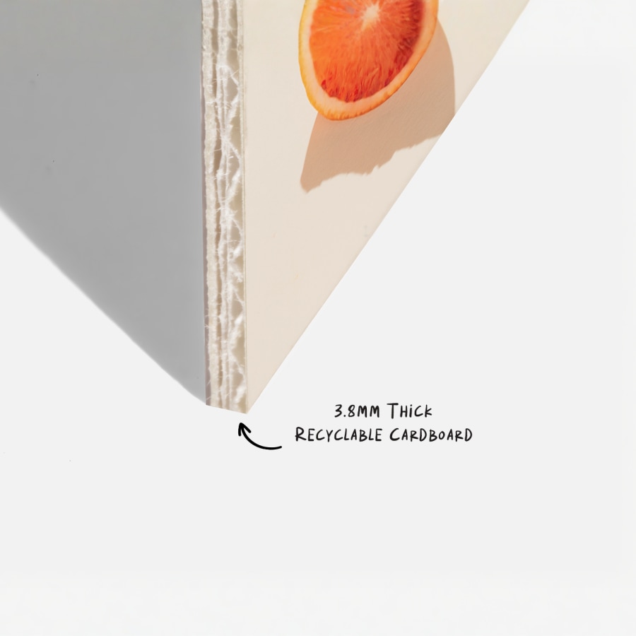 cardboard political signs