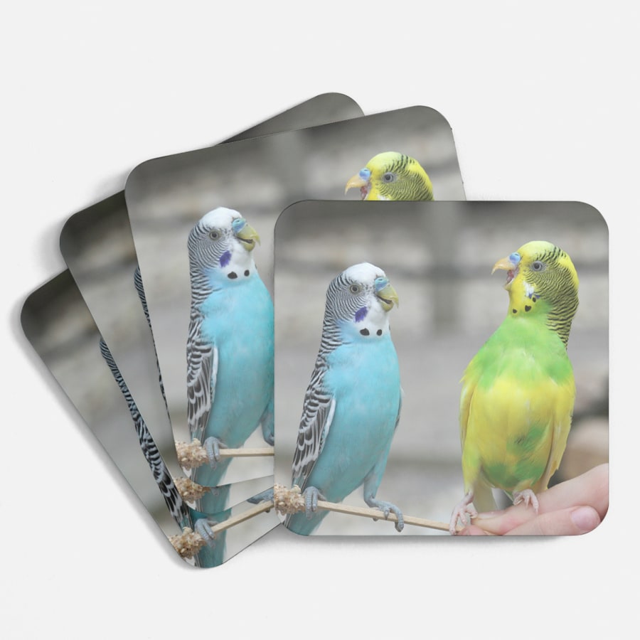 cardboard coasters bulk