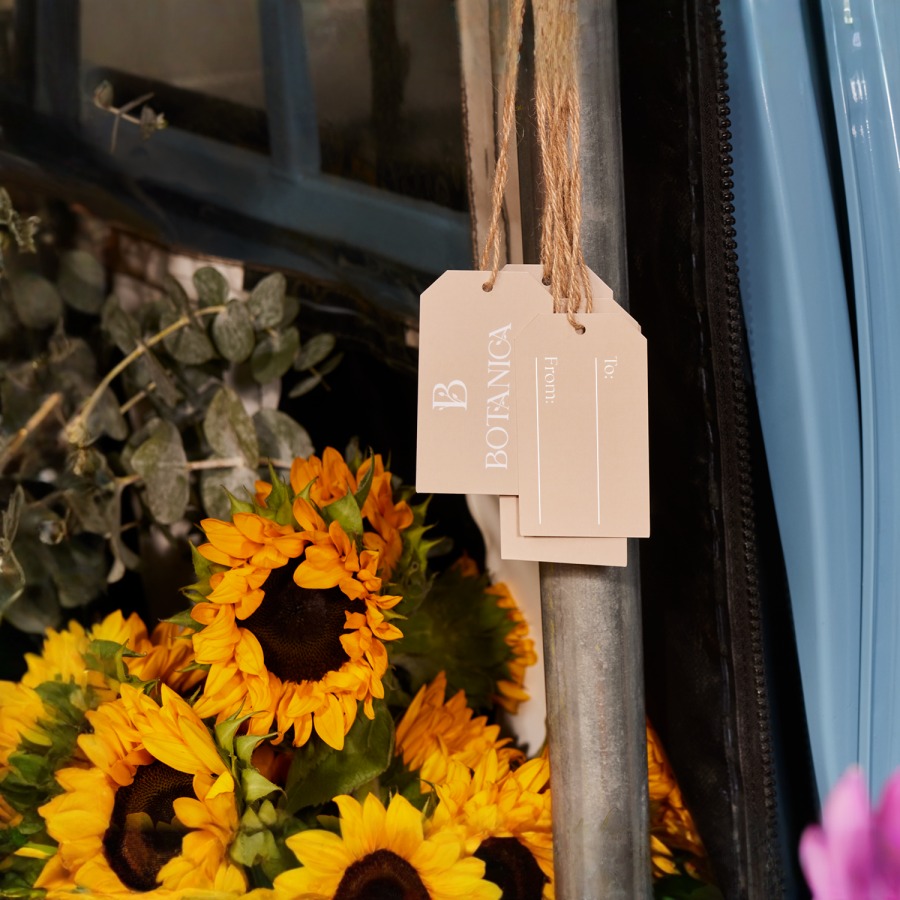 Example 7 of selected product