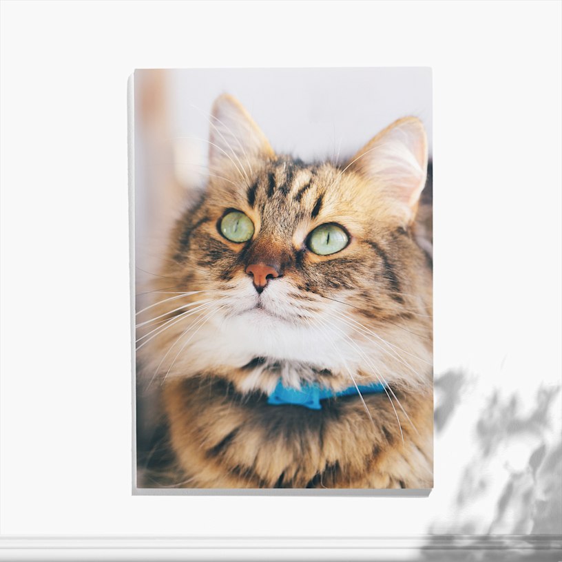 Foam Prints PRD-99UJYKPF
