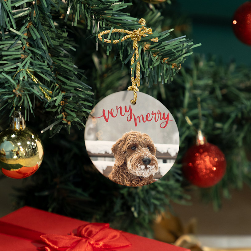 A Christmas ornament featuring a pet photo, hanging from a tree. 