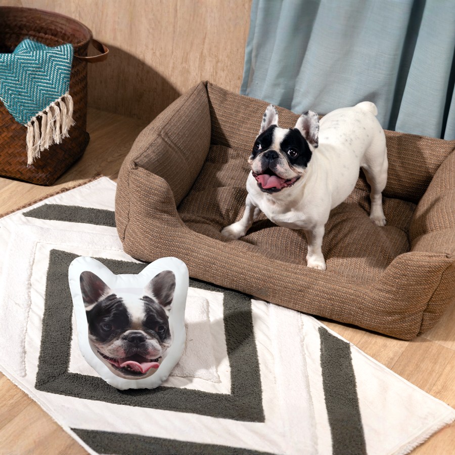 Personalised Face Cushions Printing UK