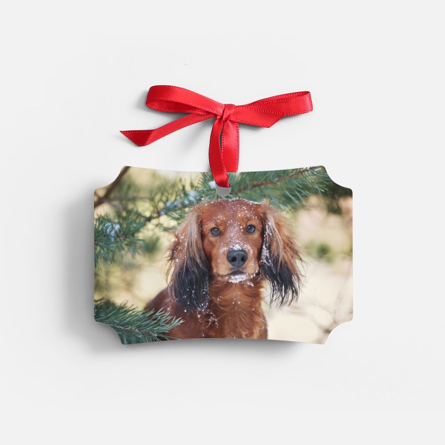 Regalo Di Famiglia Personalizzato, Stampa Di Famiglia - Foto 5