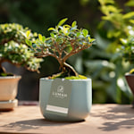 A plastic hang tag hanging off of a plant in a blue pot.