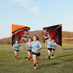 Example 3 of selected product