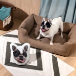 A French bulldog is sitting beside a dog face pillow that features its own face.
