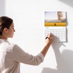 Esempio 8 del prodotto selezionato
